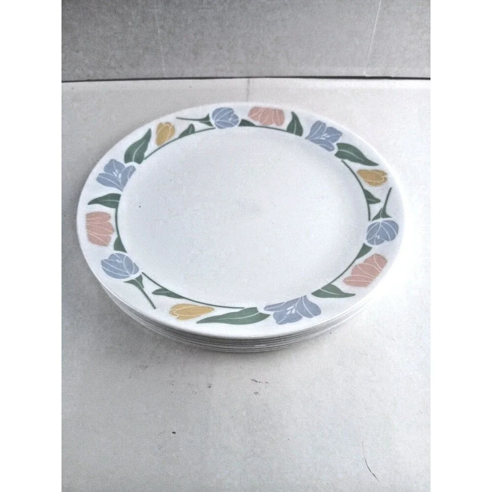 6-Pc Corelle Friendship Pattern 10.5
